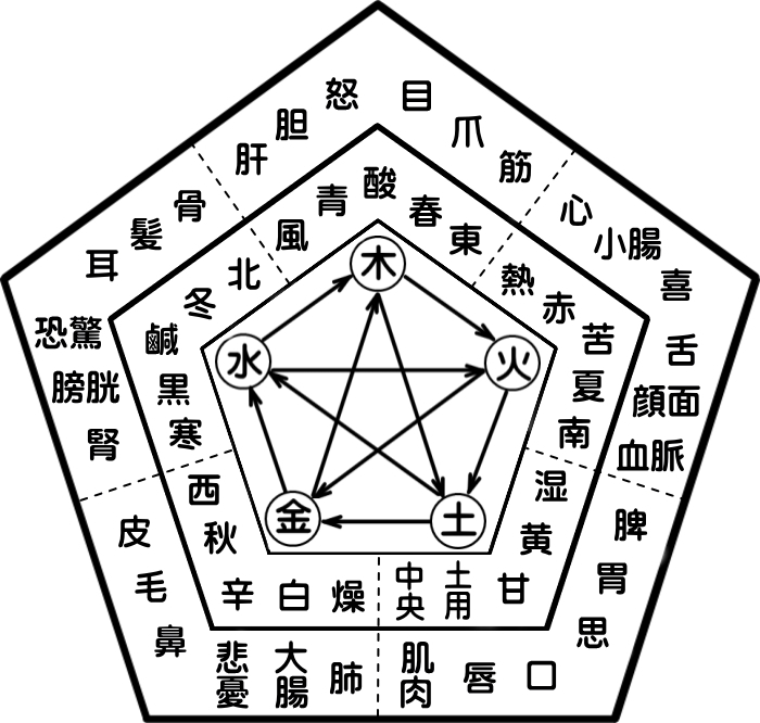 五行色体表 | 千葉県佐倉市 セドナ整骨院・鍼灸院 ユーカリが丘本院